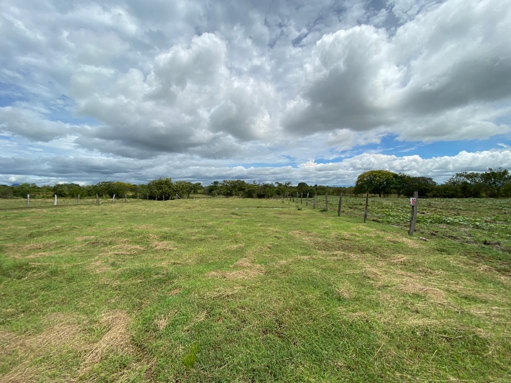 Lote No 17 - 603,47 Mt2 - San Luis - Tolima - Financiación a 1 año WhatsApp +573134283255