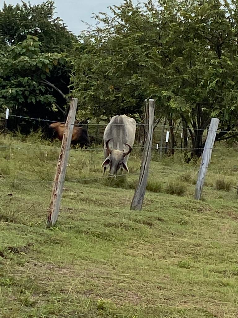 Lote No 18 - 600,85 Mt2 - San Luis - Tolima - Financiación a 1 año WhatsApp +573134283255