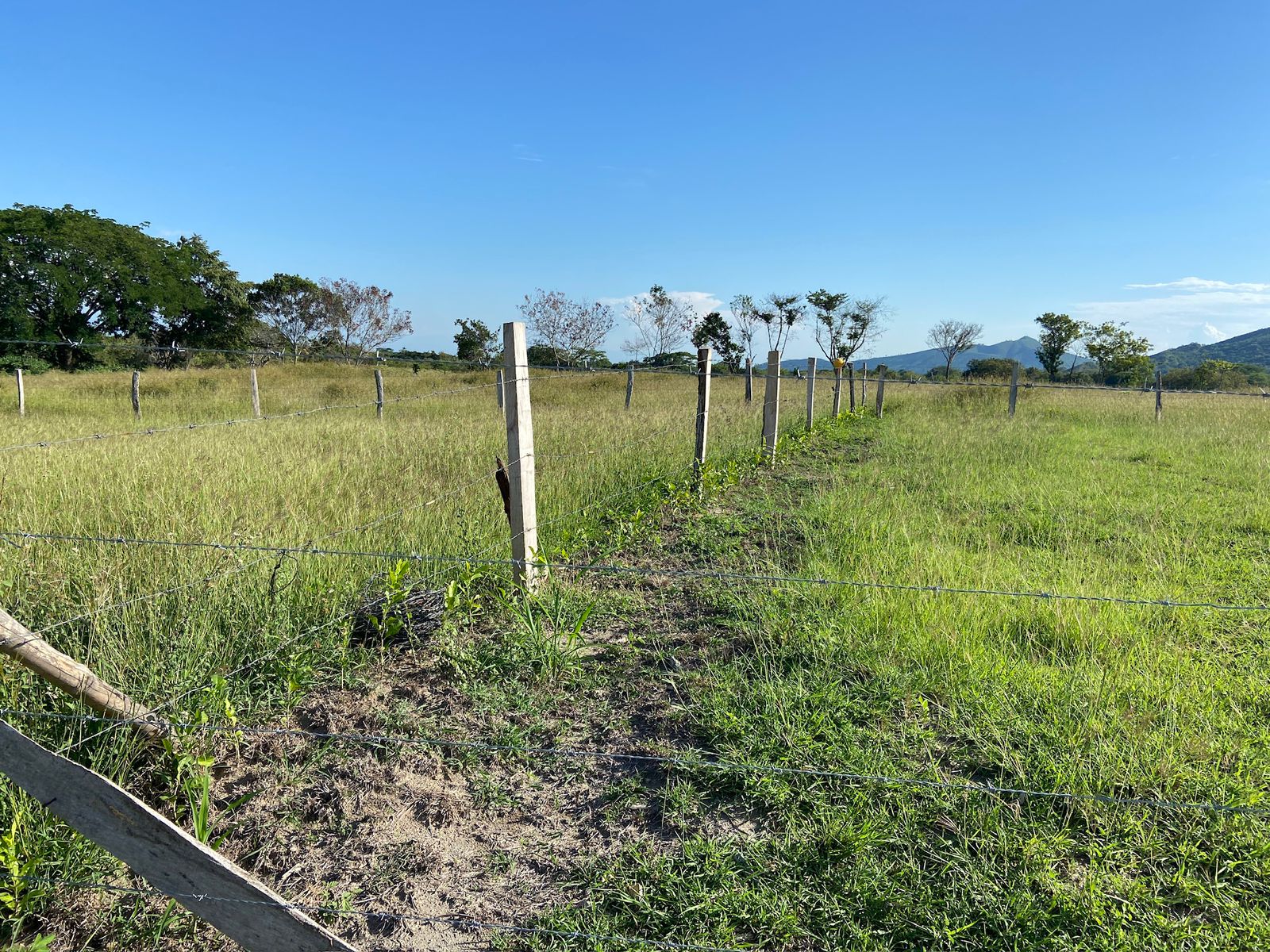 Lote No 15 - 624 Mt2 - San Luis / Tolima / Colombia +57 3132361829 COL / +1 8623914933 (USA)